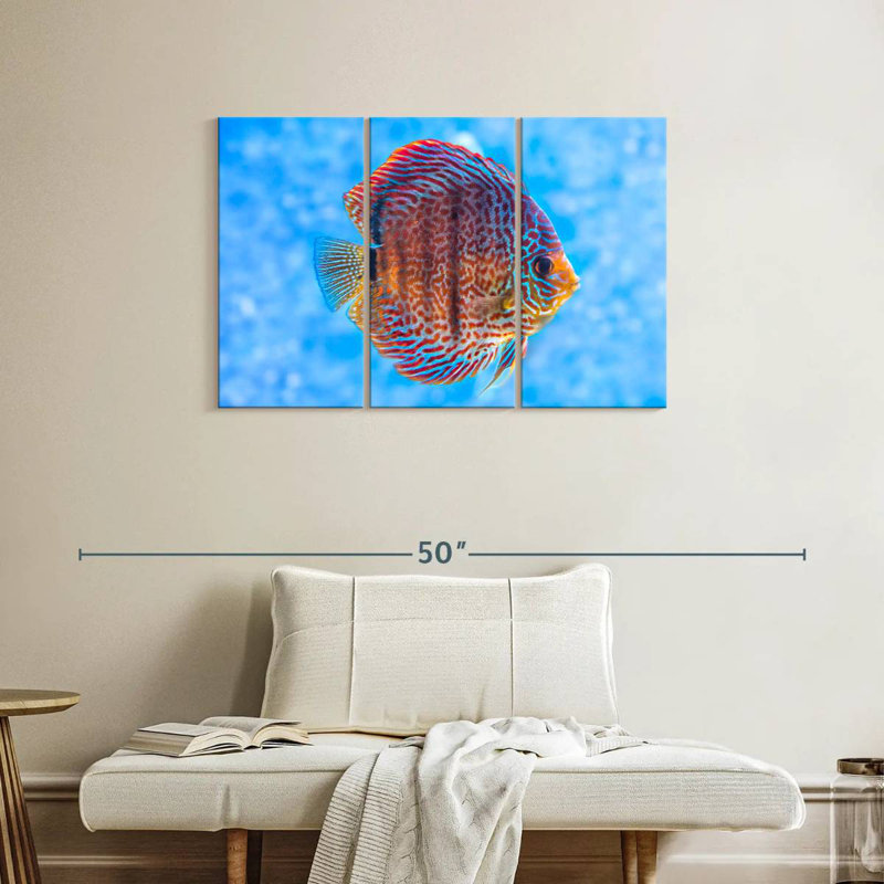 Brampt Freshwater Discus Fish, 24" H x 38" W