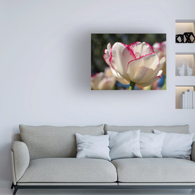 Bolog Suzanne Bonin Classy One Canvas Art