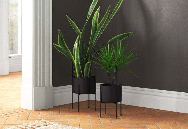 Trending Planters