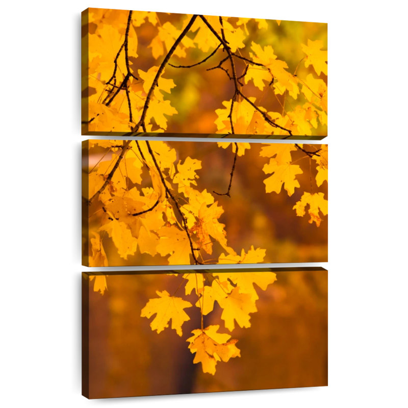 Feuilles d'orange Alvord, H 32 po x l 20 po