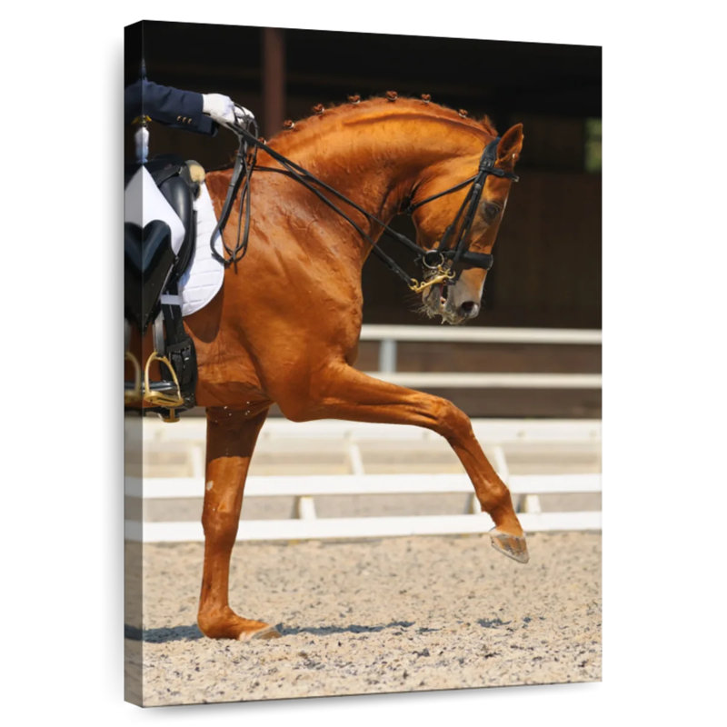 Cheval oseille Sireci, H 24 po x l 16 po