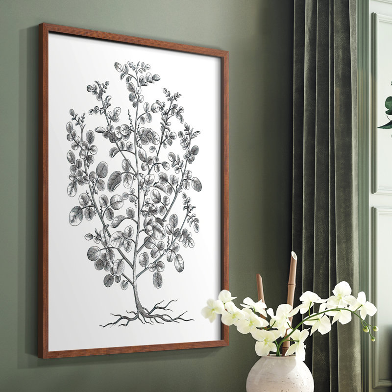B&W Plant Specimen I Framed Print - Solid Wood, Brown, 28" H x 22" W