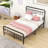 Assunta Metal Platform Bed with Headboard-794205386