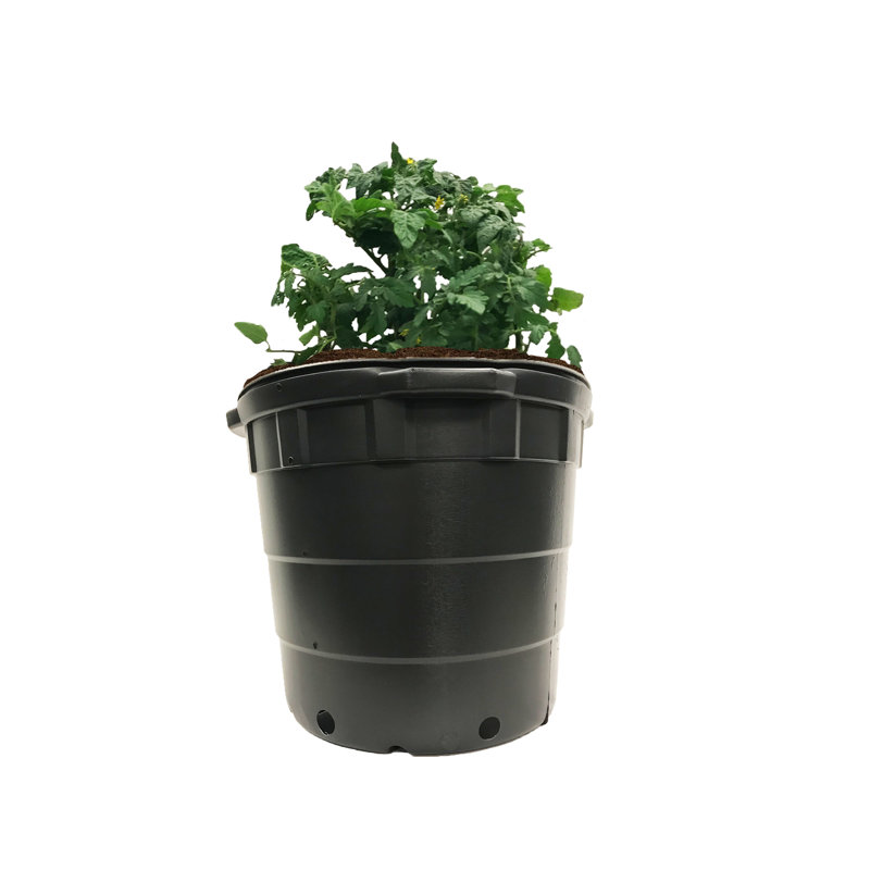 Pot en plastique Kirbee, 14,75 po x 18 po x 18 po