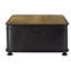 Shorney Accent Trunk