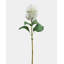 Cream White Cone Hydrangea 35.5"