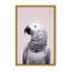 Nature Inspired African Gray by  - Picture Frame Photograph on Paper-131292021-131292024-131292032