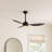 52'' Ceiling Fan with LED Lights-1234335394