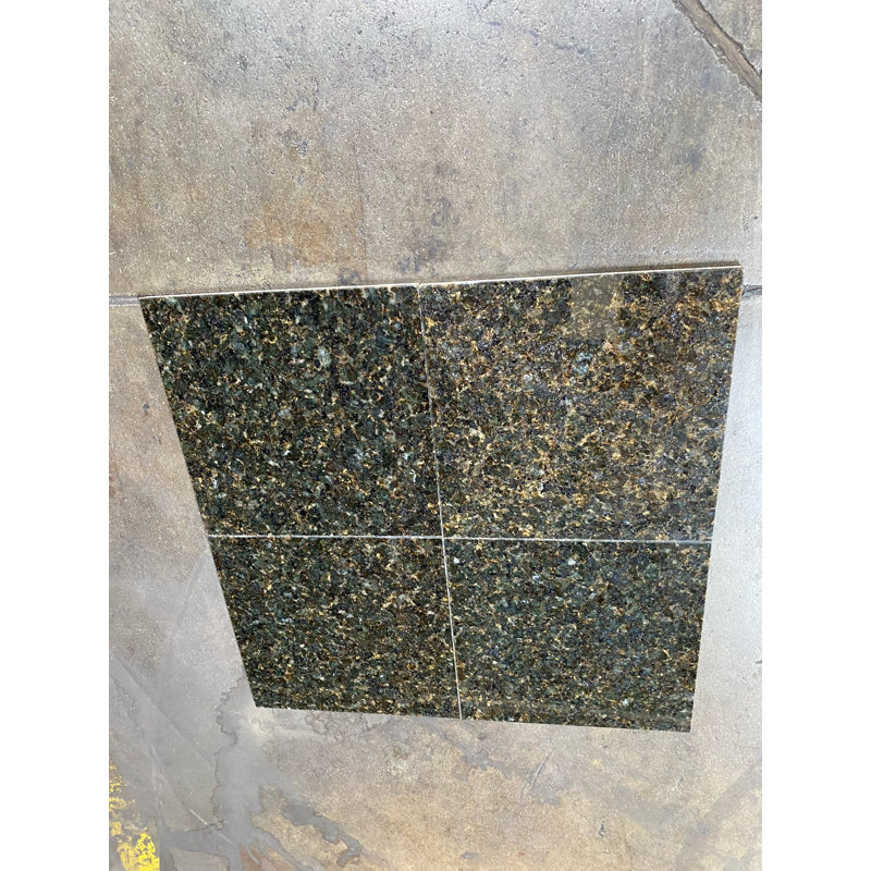 Ubatuba 12" x 12" Granite Wall & Floor Tile