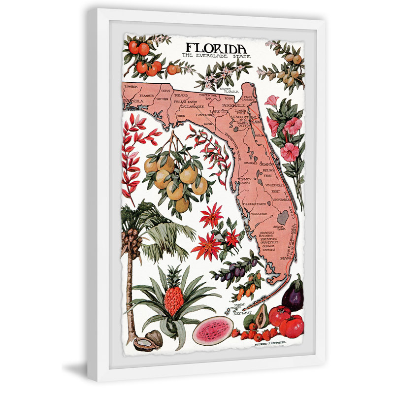 Florida, the Everglade State - Cadre photo, reproduction d'art sur papier, H 30 po x l 20 po x P 1,5 po