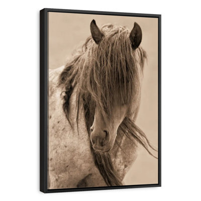 Cheval de la liberté
