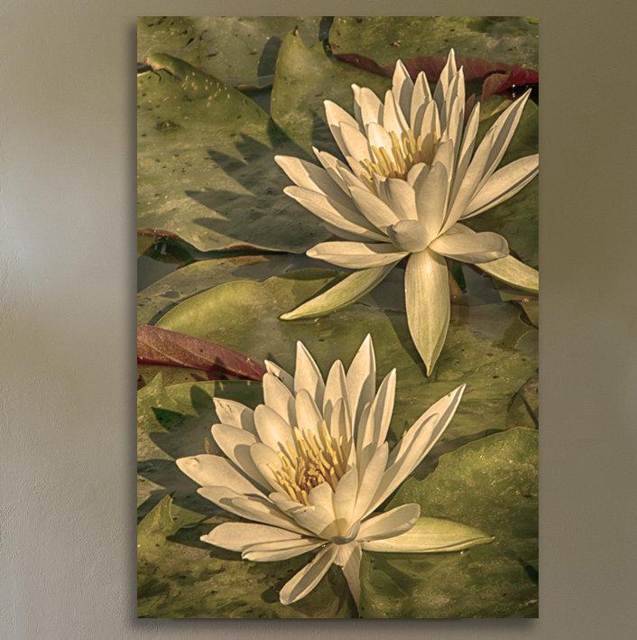 Dano - Wrapped Canvas Print, 46 cm H x 30 cm W x 3 cm D