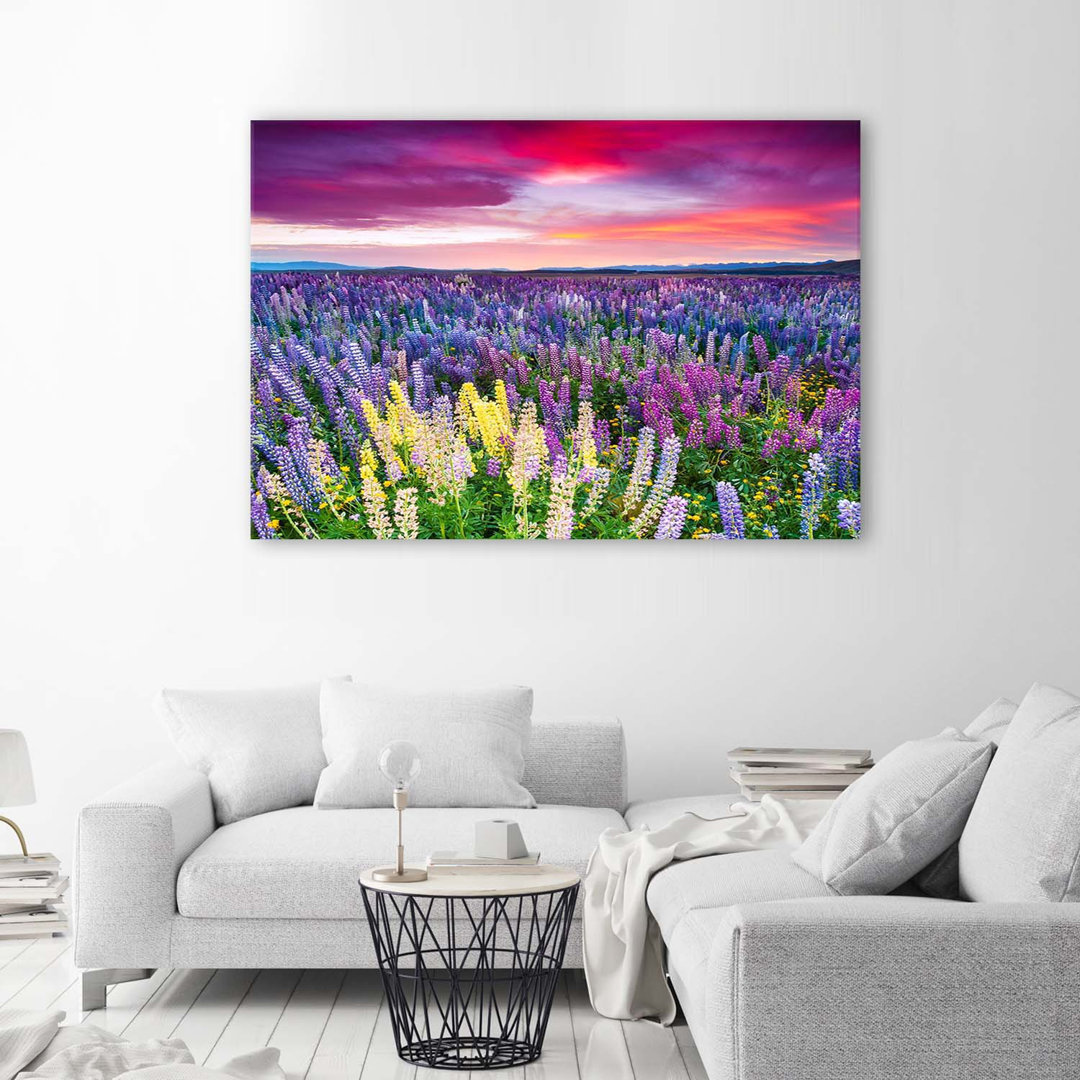 Leinwandbild Lavender Fields Nature