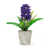 Purple selected