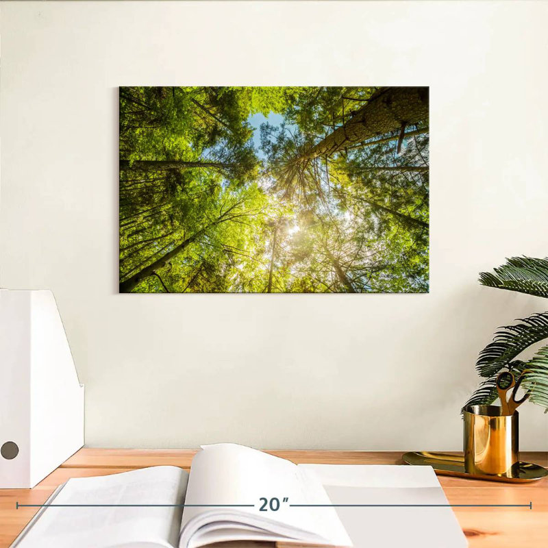 Harnek Tree Top, 8" H x 12" W