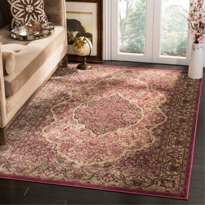 Tapis oriental performance Goshen