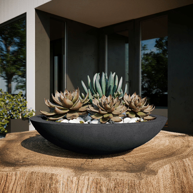 Oceanside Shallow Concrete Planter, Dark Gray, 6" H x 24" W x 24" D