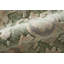 Tapis vert floral et botanique Jaxson-133040386