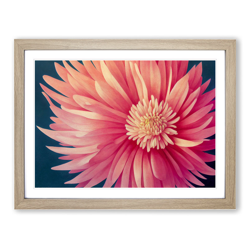 XH1022-8654X Super Chrysanthemum Flower 1 Piece Single Picture Frame Painting, 46cm H x 64cm W x 2cm D, Oak