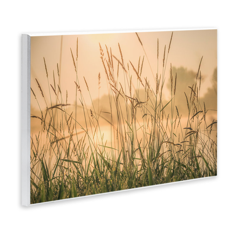 «Grassy Country Reeds» par Marty Hulsebos, H 13 po x l 19 po