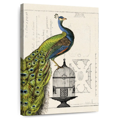 Brampt Peacock Birdcage I
