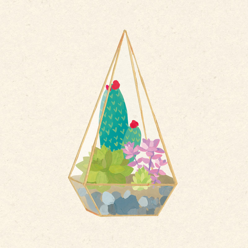 Succulent Terrarium II - Wrapped Canvas Painting, 30cm H x 30cm W x 3.8cm D