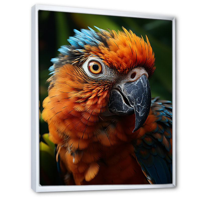 «Vibrant Parrot Portrait II», reproduction sur toile, H 20 po x l 12 po x P 1 po, Cadre flottant blanc