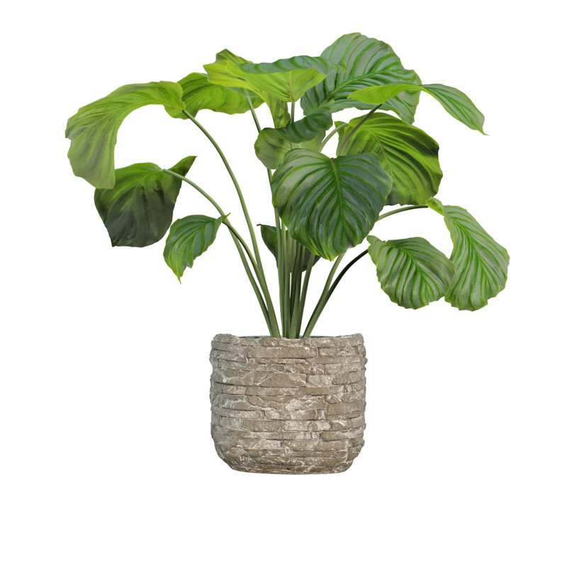 5" Ceramic Flower Planter, Ceramic Pot Planter, Plant Home Décor, Stone