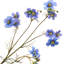 Vaporisateur 38 "Wild Summer Cosmos -281484483