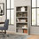 Alexsia Standard Bookcase