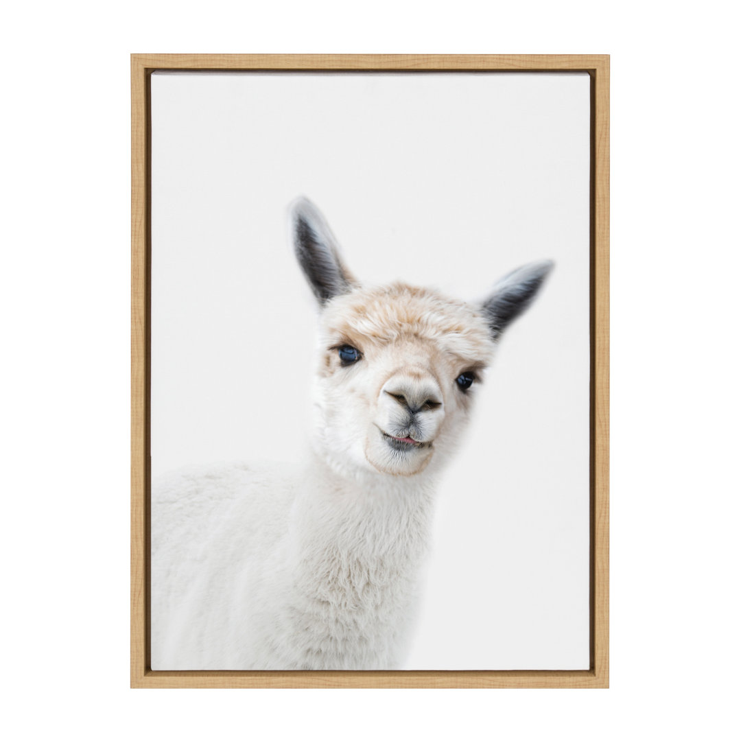 Kiranveer Studio Alpaca Graphic Art on Canvas Trinx 