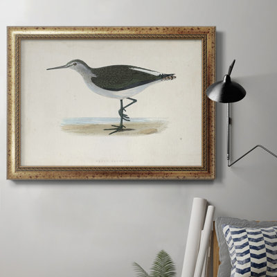 " Morris Sandpipers VI " Painting Print