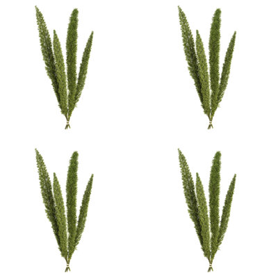 8 plantes