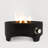Propane Tabletop Gas Fire