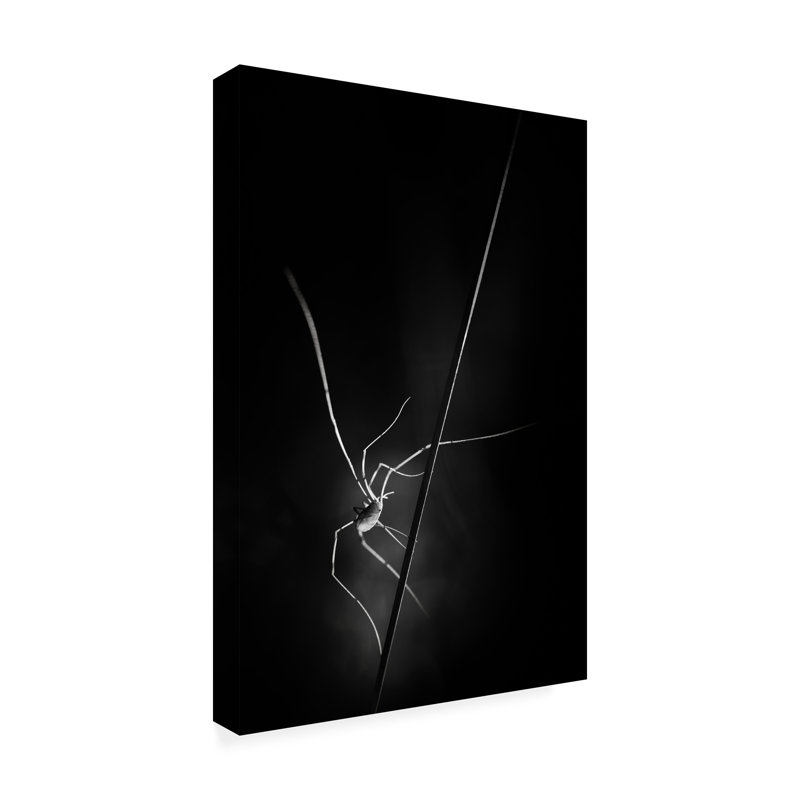 Art sur toile «ologic boli gerec », H 47 po x l 30 po