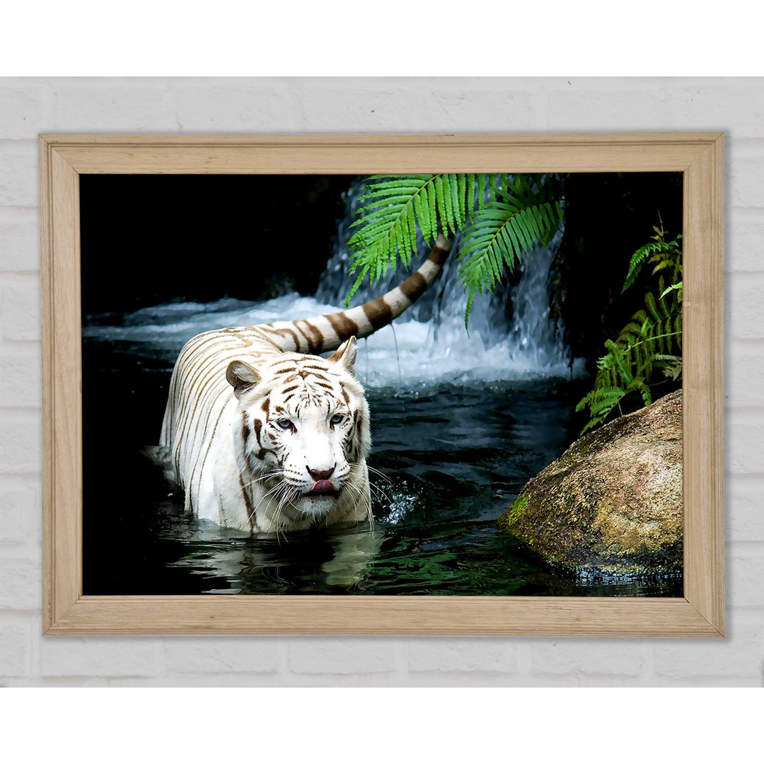 White Tiger Beautiful - Druck