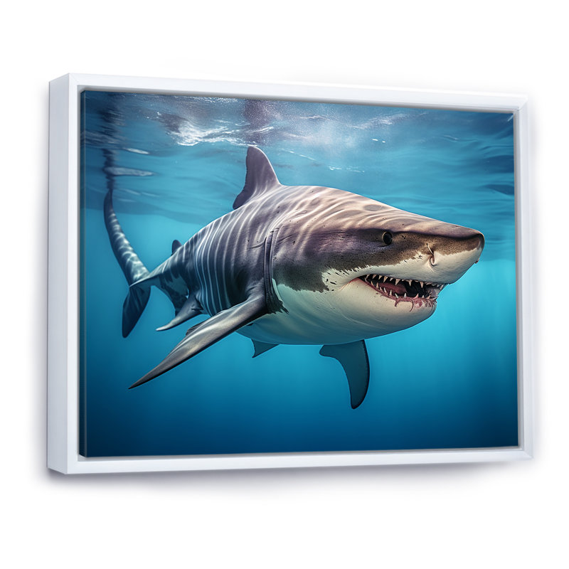 «Tiger Shark Territory III» sur toile, H 16 po x l 32 po x P 1 po, Cadre flottant blanc