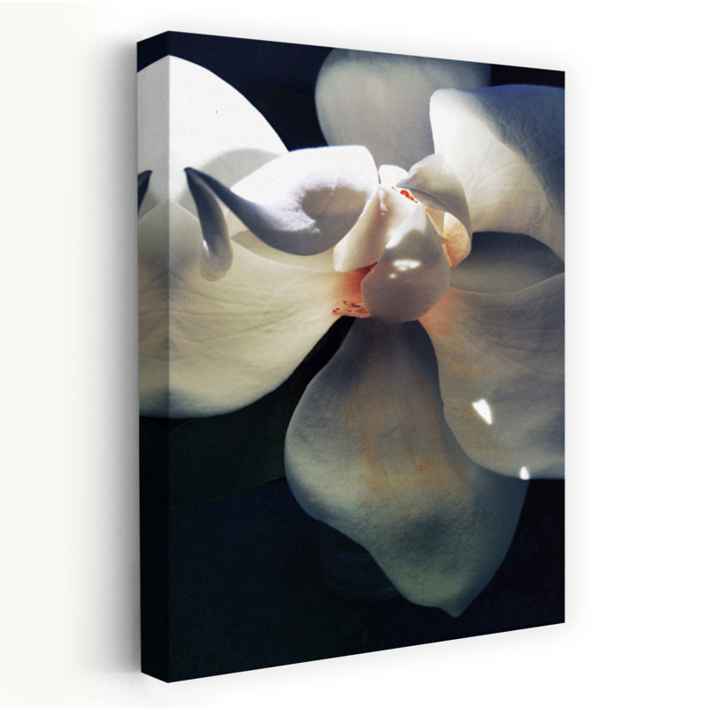 Art contemporain avec fleur de magnolia organique, H 12 po x l 8 po