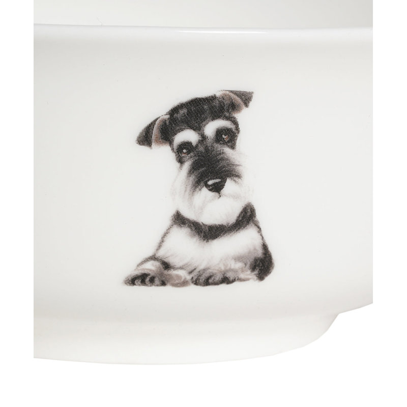 Bol en porcelaine - Schnauzer