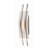 Trotta LED Armed Sconce-23972978