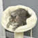210.82cm H Cat Tree