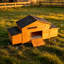 Grand poulailler en bois 70 ＂-47920192