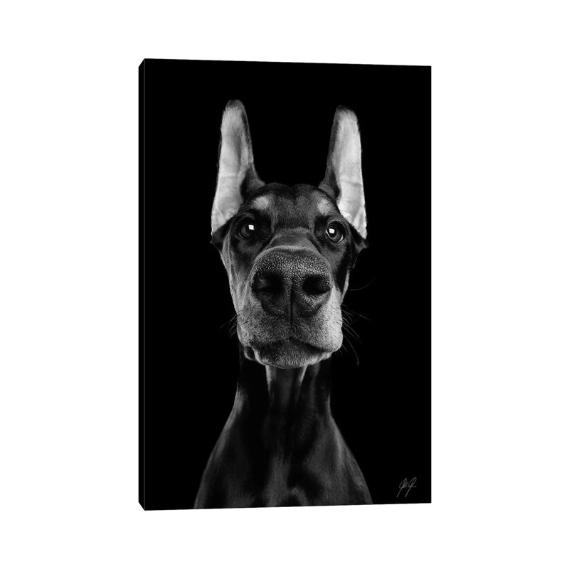 What's Up? II by Kathrin Federer - Wrapped Canvas Print, 101.6 cm H x 66.04 cm W