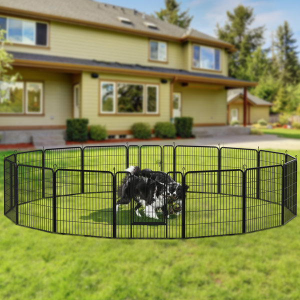 Outdoor Cat Pen Secured with Ground Sleeves (73 Finished Height)