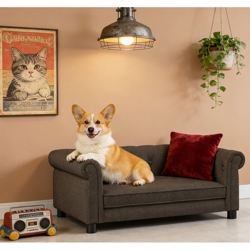 Canapé-lit pour chien durable, Marron foncé