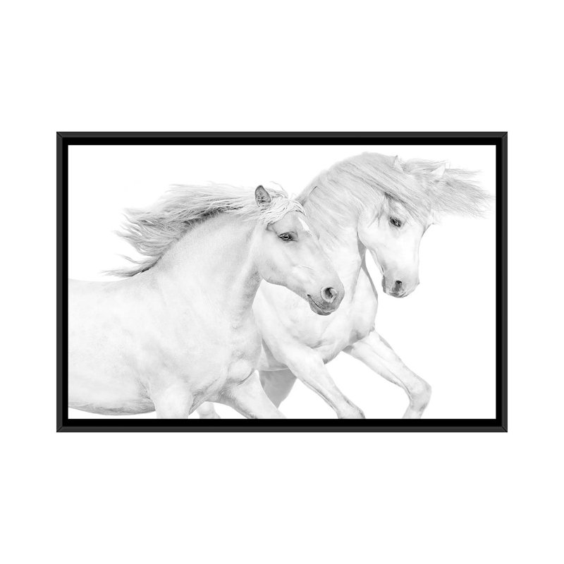" Duo II " by Samantha Carter, 18" H x 26" W x 1.5" D, Black Framed Canvas, No Mat