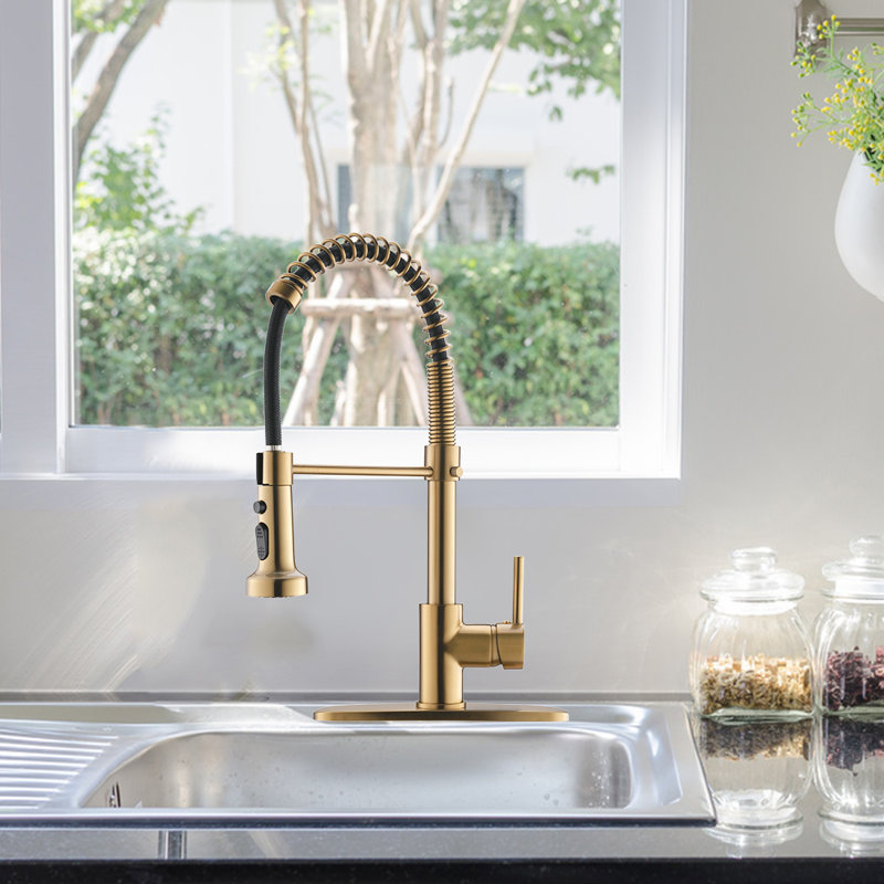 FLG Pull Down Kitchen Faucet, Brushed Gold