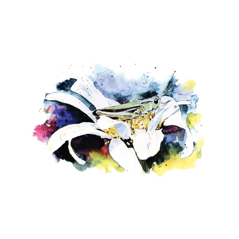 Grasshopper by EdsWatercolours - Wrapped Canvas Gallery-Wrapped Canvas Giclée, Wrapped Canvas, 12" H x 8" W