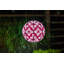 Soji 12'' Solar Powered Integrated LED Globe Lantern-92541103