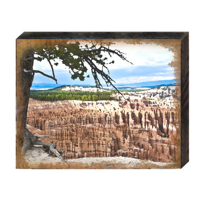 Bloc de bois canyon tree view Schaller